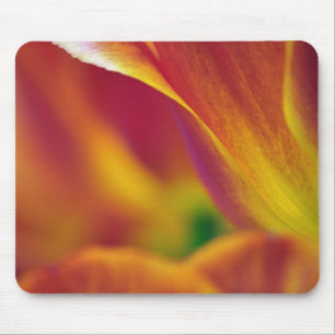 Close-up of underside of tulip flower, 4 mouse pad
