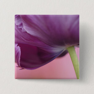 Close-up of underside of tulip flower, Kuekenhof 15 Cm Square Badge
