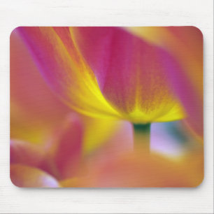 Close-up of underside of tulip flower, Kuekenhof 2 Mouse Pad
