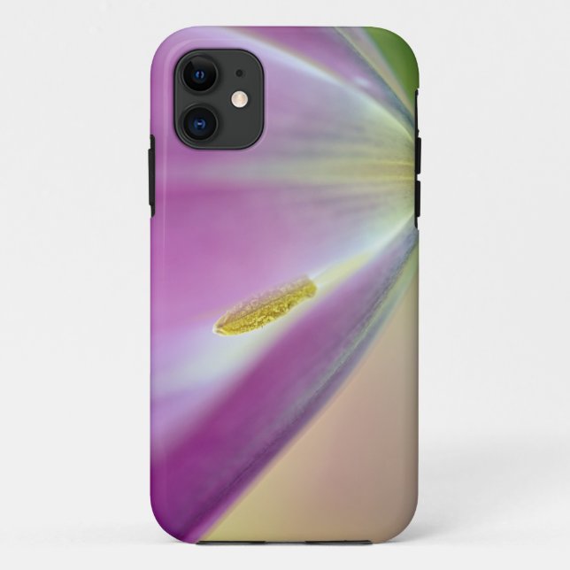 Close-up of underside of tulip flower, Kuekenhof 3 Case-Mate iPhone Case (Back)