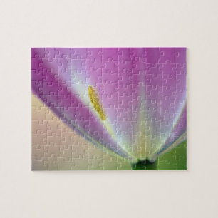Close-up of underside of tulip flower, Kuekenhof 3 Jigsaw Puzzle