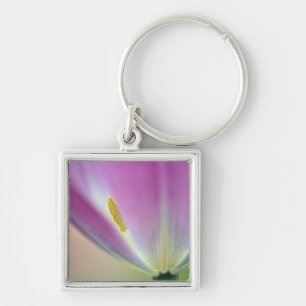 Close-up of underside of tulip flower, Kuekenhof 3 Key Ring