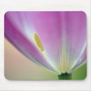 Close-up of underside of tulip flower, Kuekenhof 3 Mouse Pad