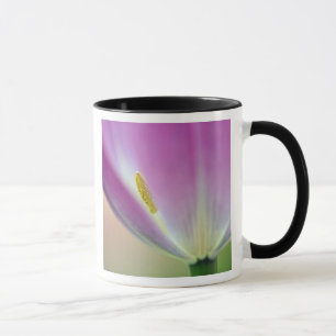 Close-up of underside of tulip flower, Kuekenhof 3 Mug