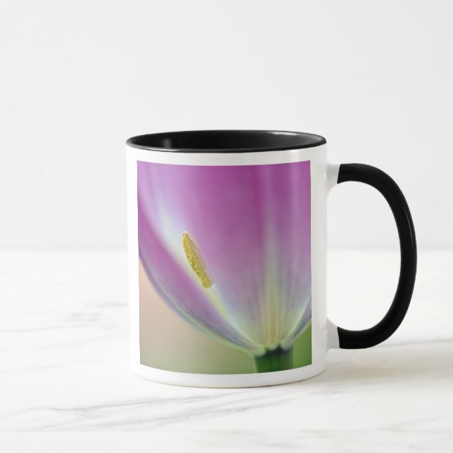 Close-up of underside of tulip flower, Kuekenhof 3 Mug (Right)
