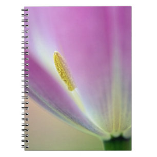 Close-up of underside of tulip flower, Kuekenhof 3 Notebook