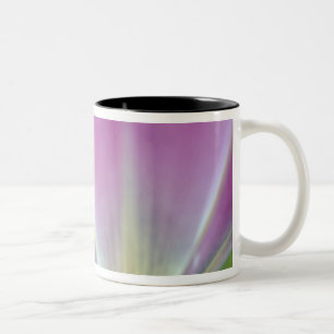 Close-up of underside of tulip flower, Kuekenhof 3 Two-Tone Coffee Mug