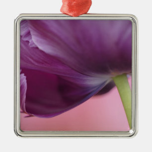 Close-up of underside of tulip flower, Kuekenhof Metal Tree Decoration
