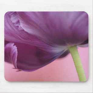 Close-up of underside of tulip flower, Kuekenhof Mouse Pad