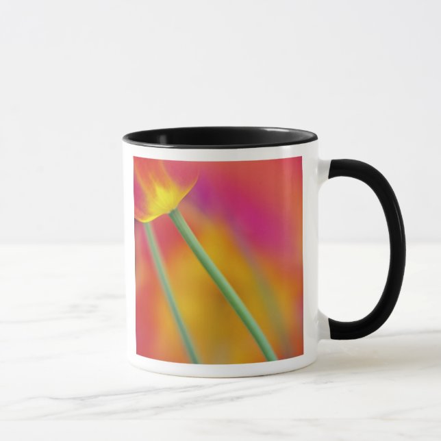 Close-up of underside of tulip flower, mug (Right)