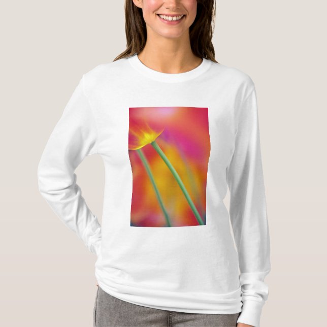 Close-up of underside of tulip flower, T-Shirt (Front)