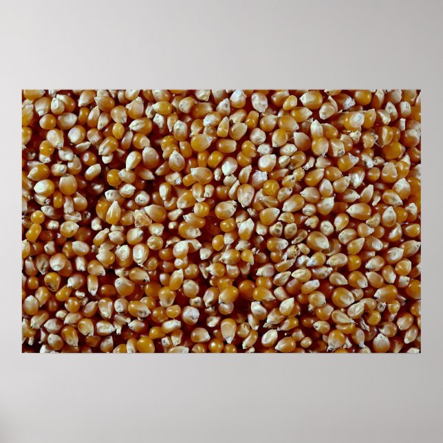 Close-up of unpopped popcorn kernels texture poster (Front)