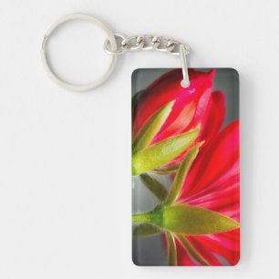 Close-up of vining geranium from back of flower key ring