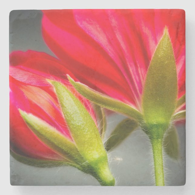Close-up of vining geranium from back of flower stone coaster (Front)