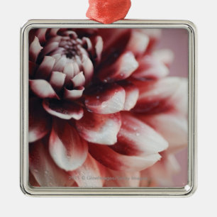 Close-up of water drops on a flower metal ornament