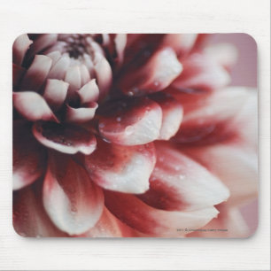 Close-up of water drops on a flower mouse pad