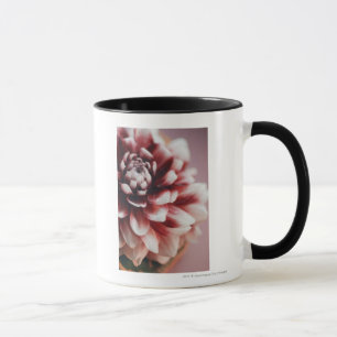 Close-up of water drops on a flower mug