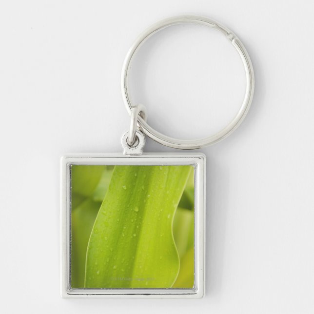 Close up of wet tropical leaf key ring (Front)