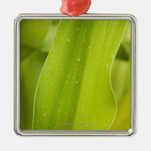 Close up of wet tropical leaf metal tree decoration