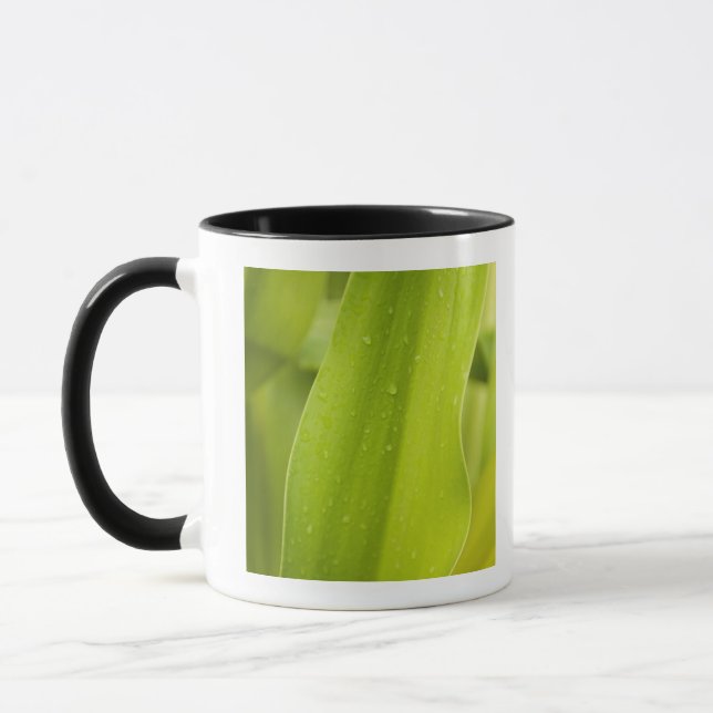 Close up of wet tropical leaf mug (Left)
