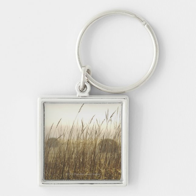 Close up of Wheat Photography Key Ring (Front)