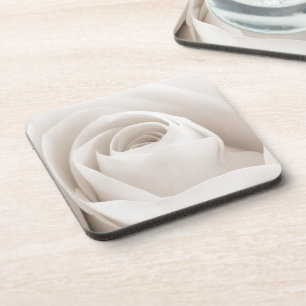 Close up of White Rose Petals Coaster