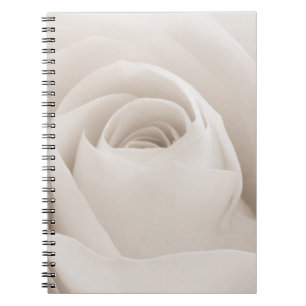 Close up of White Rose Petals Notebook