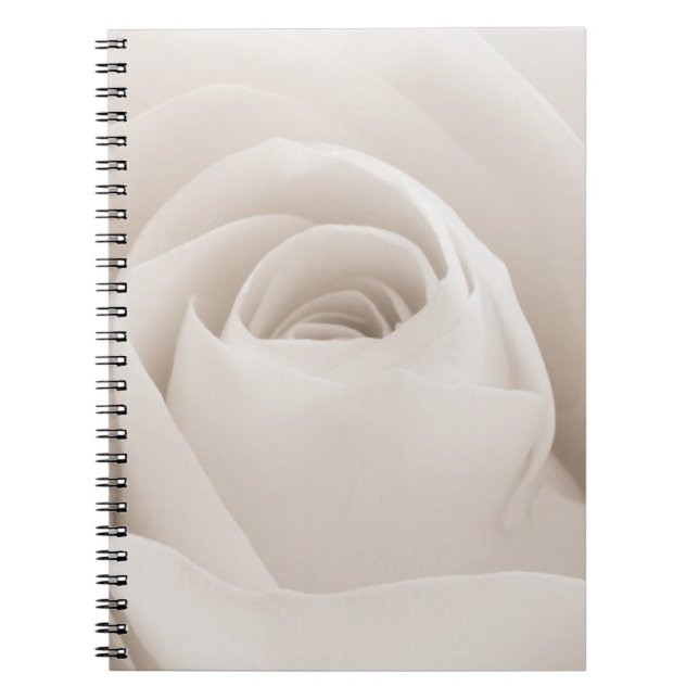 Close up of White Rose Petals Notebook (Front)