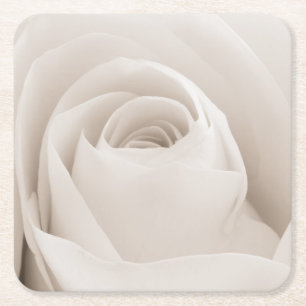 Close up of White Rose Petals Square Paper Coaster