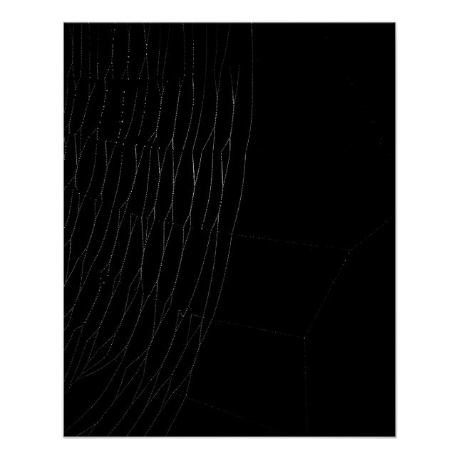 Close-up of White Web with Black Poster (Front)