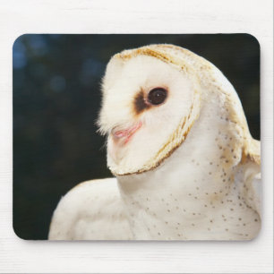 Close-up of wild owl mouse pad
