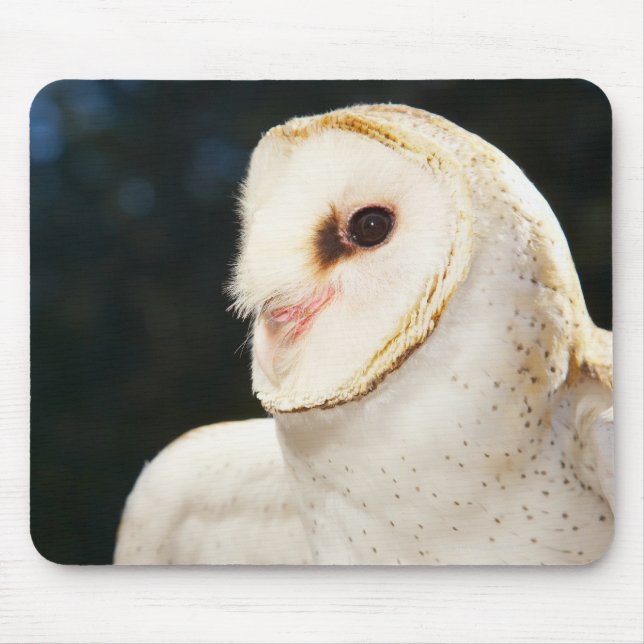 Close-up of wild owl mouse pad (Front)