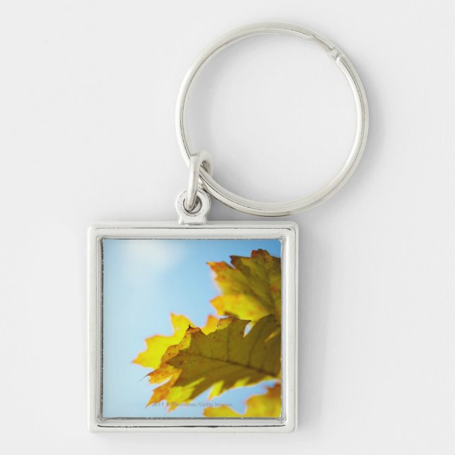 Close Up of Yellow Fall Leaves Key Ring (Front)
