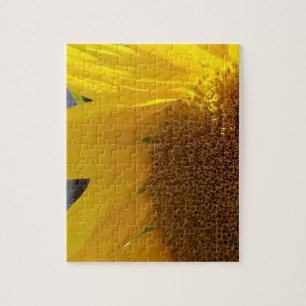 Close Up of Yellow Sunflower Jigsaw Puzzle