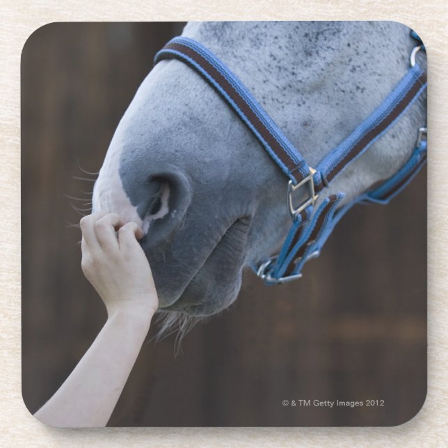close-up of young girl touching white horse coaster (Front)
