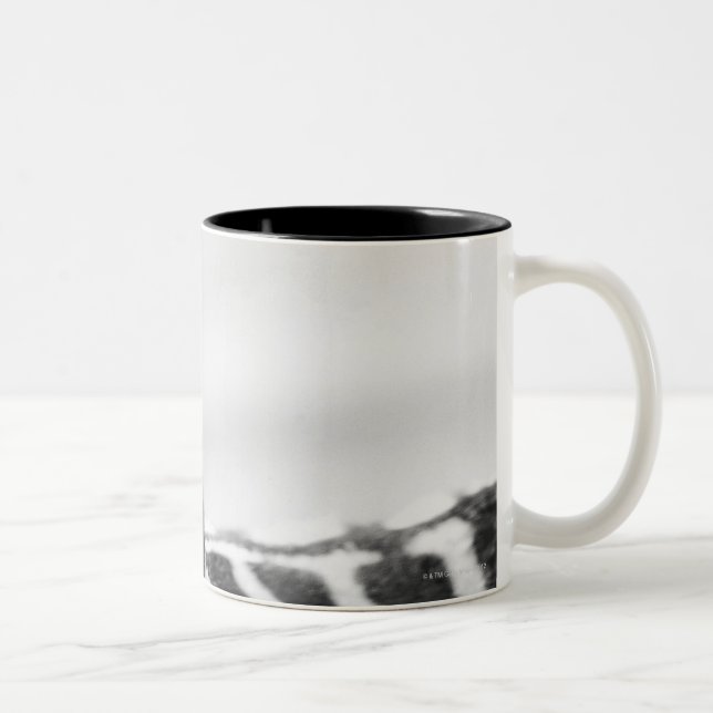 Close-up of zebra face and shoulder coffee mug (Right)