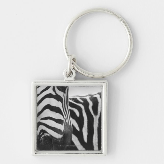 Close-up of zebra face and shoulder key ring (Front)