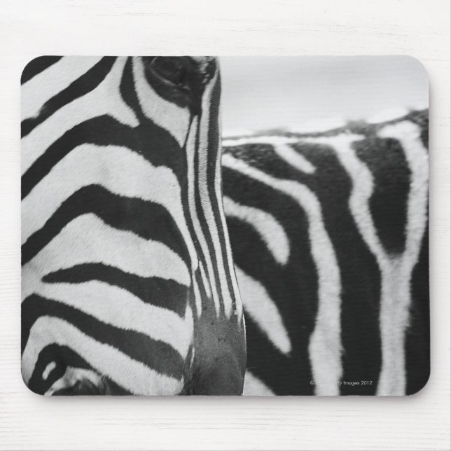 Close-up of zebra face and shoulder mouse pad (Front)