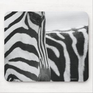 Close-up of zebra face and shoulder mouse pad