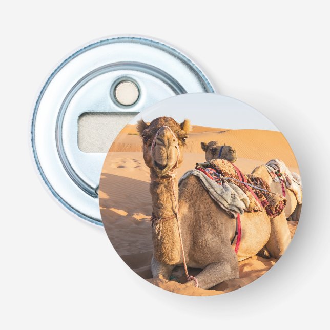 Close-up on Camel in Oman desert Bottle Opener (Front)