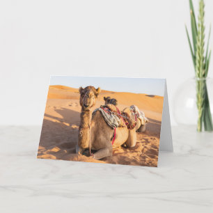 Close-up on Camel in Oman desert Card