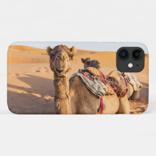 Close-up on Camel in Oman desert Case-Mate iPhone Case