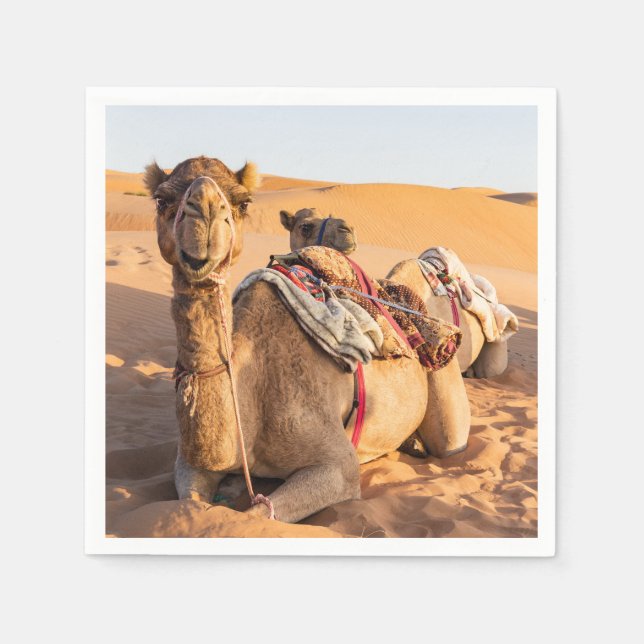 Close-up on Camel in Oman desert Napkin (Front)