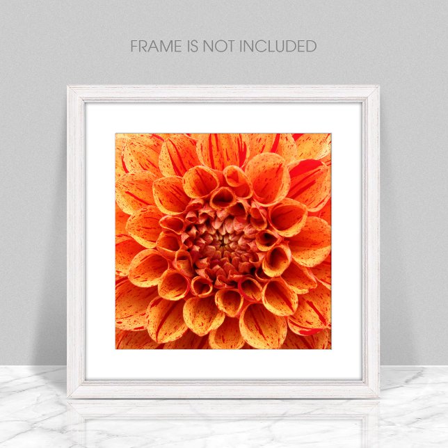 Close-Up Orange Flower Poster (Creator Uploaded)