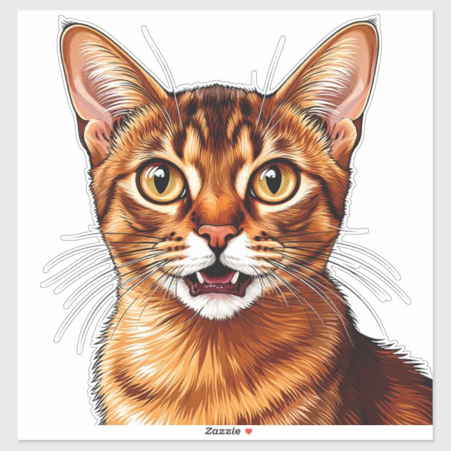 Close-Up Orange Tabby Abyssinian Cat Portrait (Sheet)