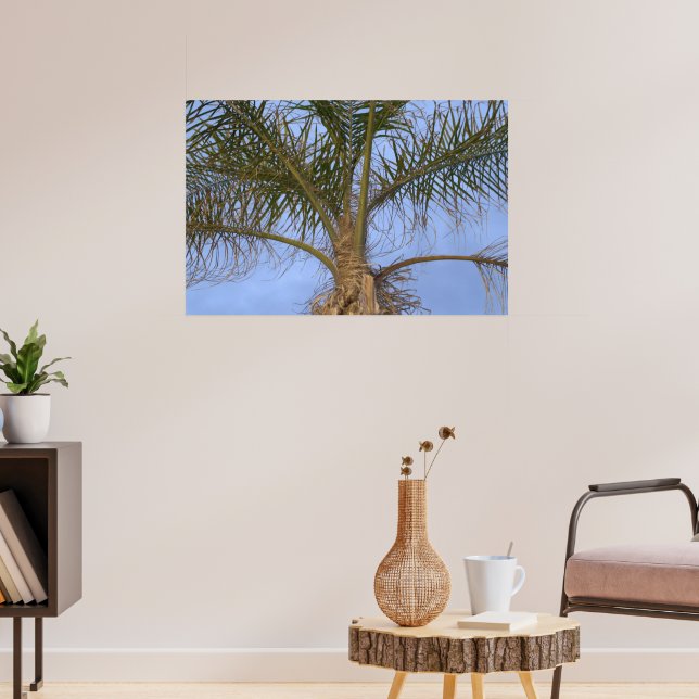Close-up Palm Tree Blue Sky Poster (Living Room 3)