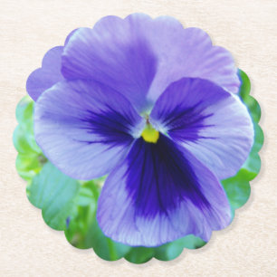 Close Up Photo of a Blue Pansy Paper Coaster