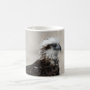 Close-Up Photo of an Eastern Osprey Coffee Mug