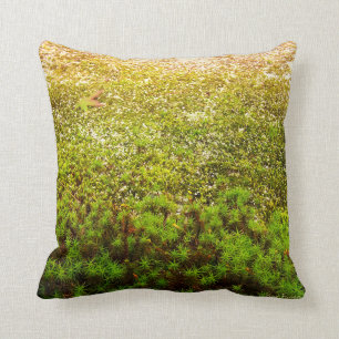 Close-up Photo of Green Haircap Moss Cushion