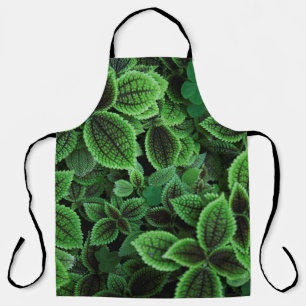 CLOSE UP PHOTO OF GREEN LEAFED PLANT APRON